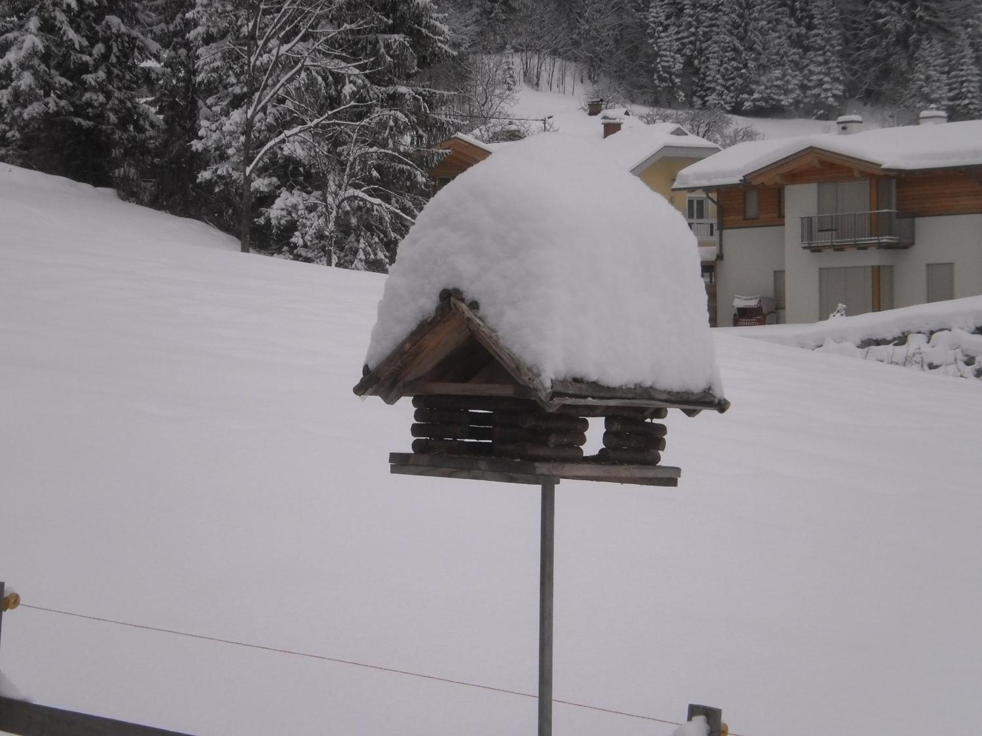 Haus Birke Apartment Weissensee Luaran gambar