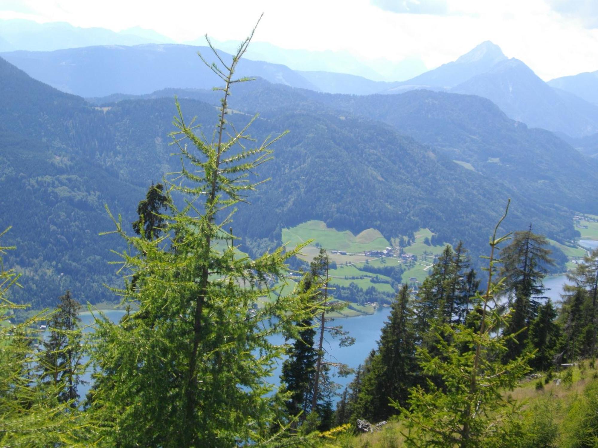 Haus Birke Apartment Weissensee Luaran gambar